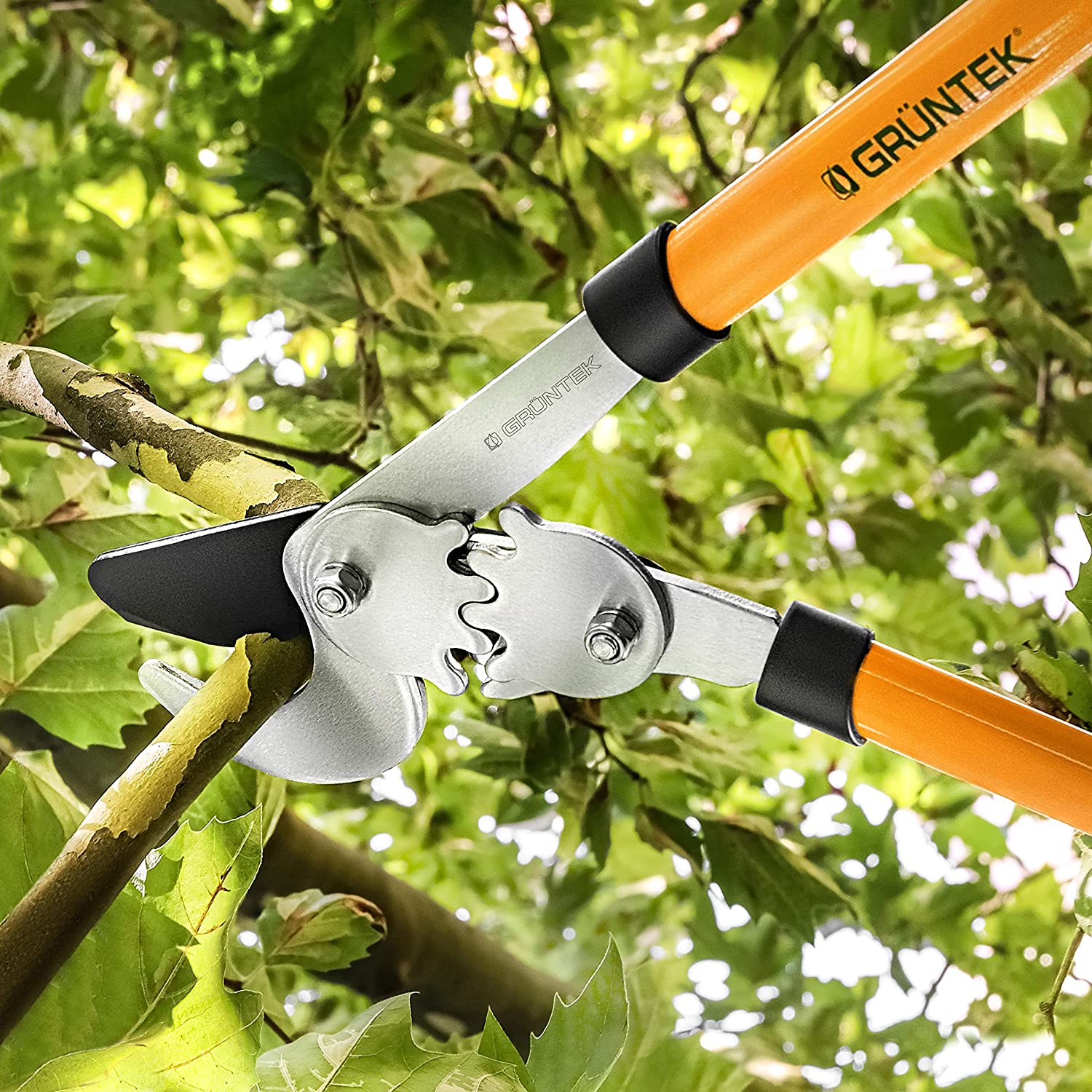 Cortando ramas con la Tijera de podar a 2 Manos T-Rex 76cm Cortarramas hasta Ø 5cm. Hoja Bypass 67mm. con Doble Engranaje. GRÜNTEK