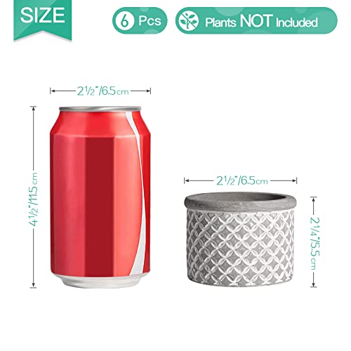 Pack de 6 Macetas para Cactus de Cemento con Plato para Plantas de Casa y Jardin T4u