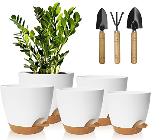 Juego de 5 macetas blancas con plato de drenaje y herramientas de jardinería sobre fondo blanco