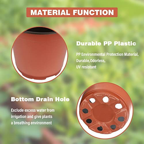 Macetas de plástico de 100 para Plantas, Flores y para Sembrar, 10 cm de Diámetro, Jardinería