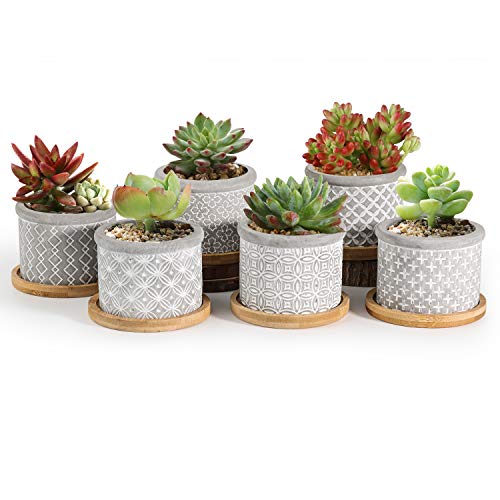 Pack de 6 Macetas para Cactus de Cemento con Plato para Plantas de Casa y Jardin T4u