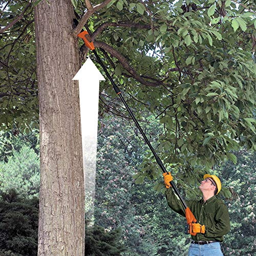 Cortando ramas altas con la Motosierra con pértiga telescópica a batería 18V, 2Ah, espada 20 cm. GPC1820L20-QW. BLACK+DECKER