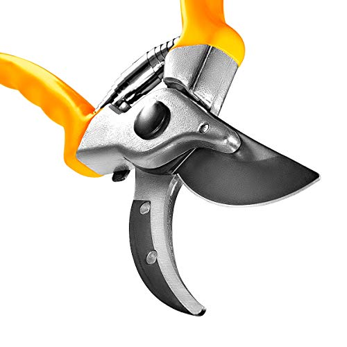 Primer plano de la punta de la Tijera de jardin ergonómicas y ligeras de Podar SPECHT 215 mm/hoja de 50 mm. GRÜNTEK