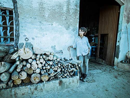Vista de ambiente de leña en casa rural con Hacha Vizcaína con Mango de Madera. Hecha en España por Bellota