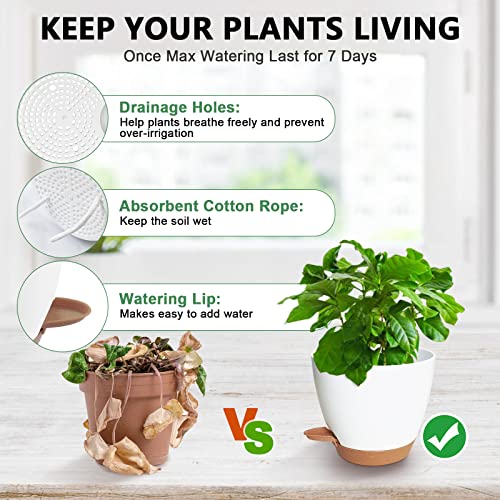 Agujeros de drenaje, cordones de algodón y lengüeta de riego para un mejor cuidado de tus plantas con la maceta Idealife