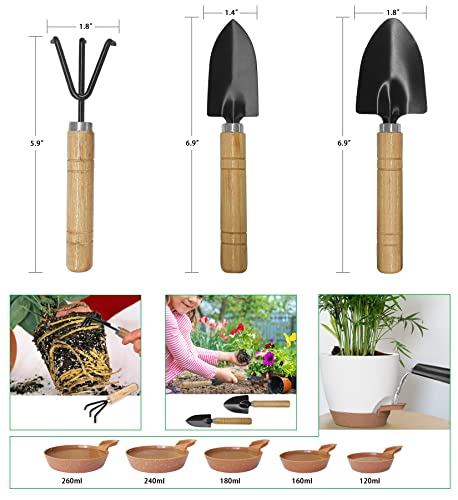 Imágenes varias de herramientas de jardinería, transplantado, regado y tamaños de platos de drenaje