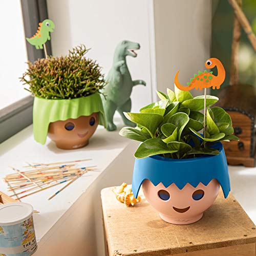 Macetero OJO Ocean Blue y Manzana Verde con diseño de cabeza de muñeco Playmobil en interior con plantas