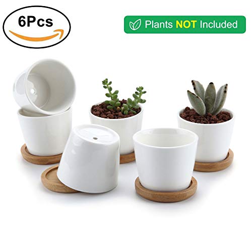 Juego de 6 macetas de cerámica blanca pequeñas para cactus o pequeñas plantas con bandejas de T4u sobre fondo blanco. Plantas no incluids