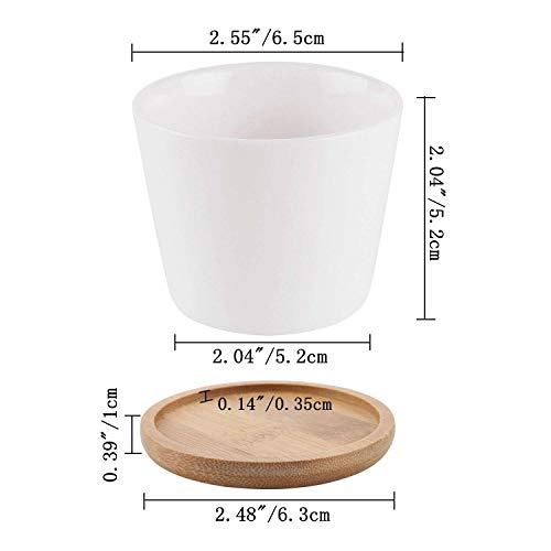 Medidas de la maceta de cerámica blanca y el plato de drenaje T4u