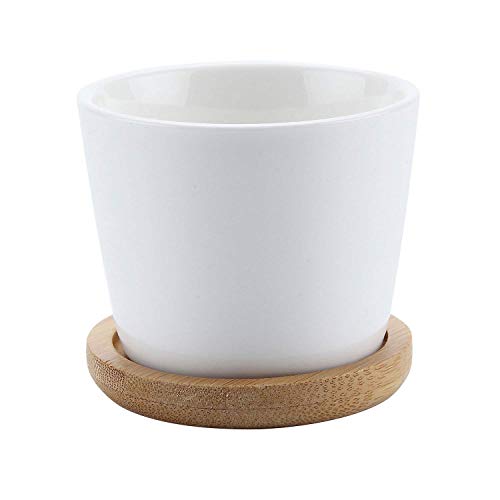 Vista frontal de maceta de cerámica blanca pequeña con bandeja de T4u sobre fondo blanco