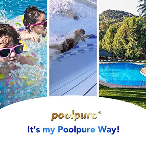 Diversos usos de los Filtros de SPA (2 uds.) para bañera de hidromasaje de 50 'para Pleatco PRB501N, Arctic, Beachcomber, Canadian, Hydropool & Jacuzzi, Unicel c4950. POOLPURE