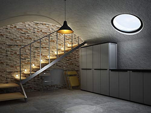 Armario 2 Puertas y 1 Estante Interno, 68x37,5x85 cm. Gris/Negro. Terry, Jline 68. Ambiente sótano