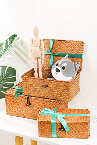 Vista en interior con el Conjunto de 3 Cestas con Tapa para Almacenamiento hecho de fibras marinas Rectangular Tejida de Ratán Natural Para Dormitorio Sala de Estar Oficina. YSGLIFE