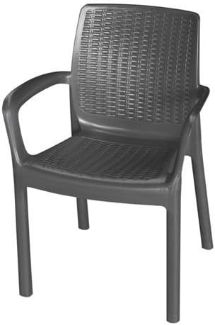 Vista de Silla elegante de ratán, 48x57,5x82,5 cm, color antracita. Garden of Life