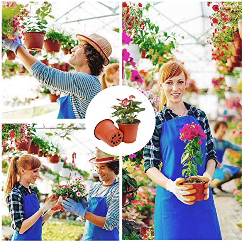 Macetas de Plastico (50 Pz) Redondas Pequeñas para Semillero de Plantas 10 x 8 cm Vockvic