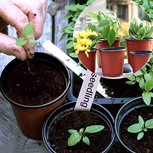 Macetas de Plastico (50 Pz) Redondas Pequeñas para Semillero de Plantas 10 x 8 cm Vockvic