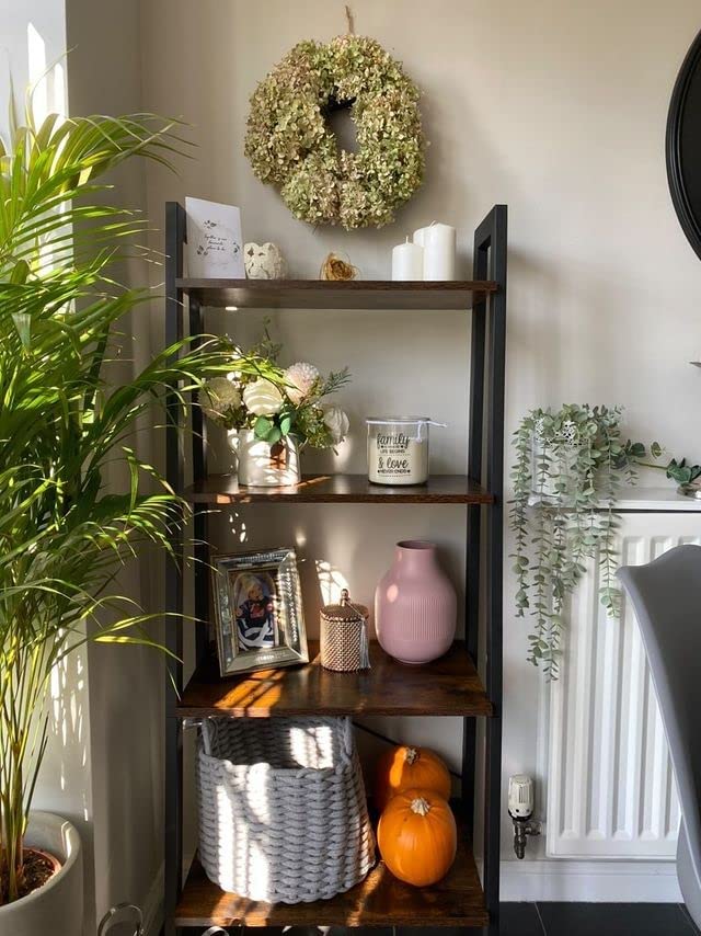 Vista en salita de Estantería de estilo Industrial tipo Escalera con 4 niveles de Almacenaje, Estable Marco Metálico para Sala de Estar. Montaje Fácil, Marrón Rústico y Negro LLS44X. VASAGLE