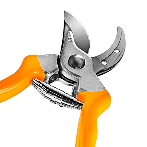 Detalle de la Tijera de jardin ergonómicas y ligeras de Podar SPECHT 215 mm/hoja de 50 mm. GRÜNTEK