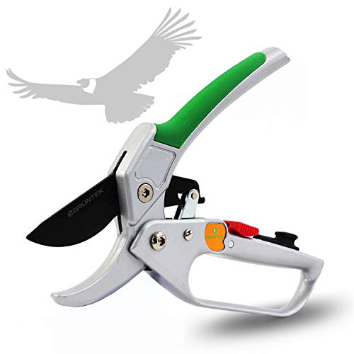 Vista de la Tijera Recoletora de podar Yunque con Trinquete. Cortarramas Profesional CÓNDOR 20cm. GRÜNTEK