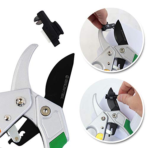 Detalles de la Tijera Recoletora de podar Yunque con Trinquete. Cortarramas Profesional CÓNDOR 20cm. GRÜNTEK