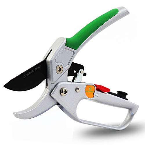 Tijera Recoletora de podar Yunque con Trinquete. Cortarramas Profesional CÓNDOR 20cm. GRÜNTEK