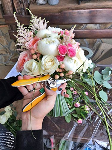 Haz un bonito ramo de flores con las Tijeras de podar y cortar Flores, Frutas y Verduras COLIBRI 170 mm. Tijera de jadin y Vendimia. GRÜNTEK