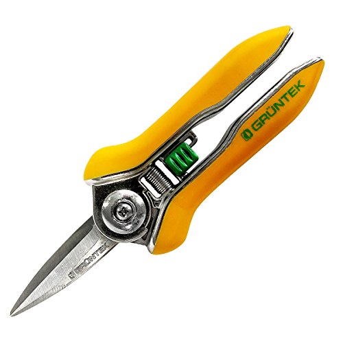 Vista de Tijeras de podar y cortar Flores, Frutas y Verduras COLIBRI 170 mm. Tijera de jadin y Vendimia. GRÜNTEK