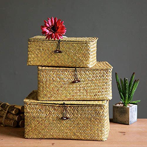 Juego 3 cestas con tapa para almacenamiento, rectangulares de ratán tejido de fibras marinas de Ysglife