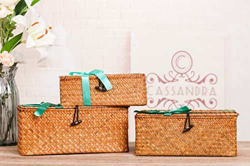 Juego 3 cestas con tapa para almacenamiento. Elaborado con algas marinas. Ysglife