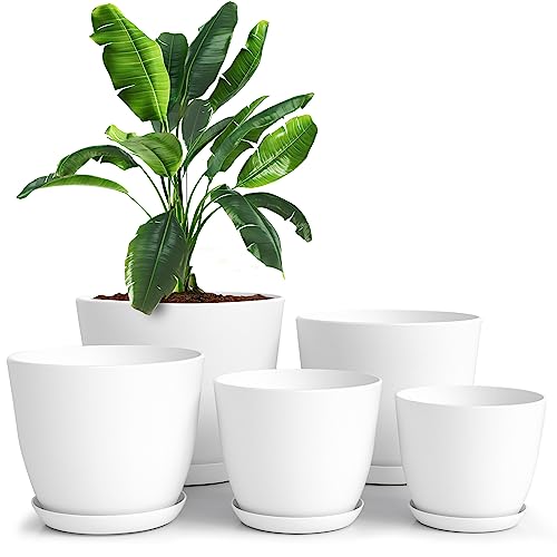 plantas en macetas de plastico ➜ Macetas Pack x5 para Plantas de Interior y Flores con Drenaje – maxjardin