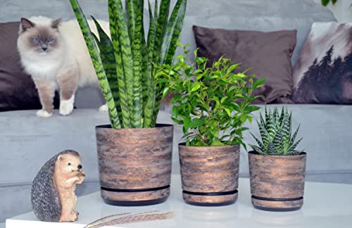 Conjunto de elegantes macetas con aspecto oxidado Korad sobre mesa blanca en interior