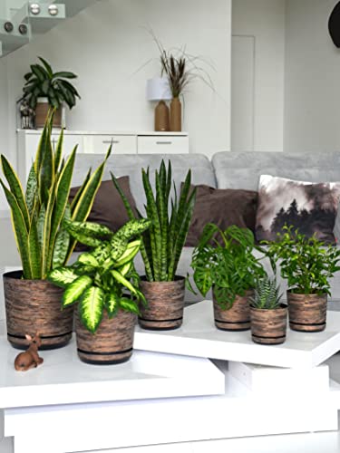 Conjunto de elegantes macetas con aspecto oxidado Korad sobre varias mesas blancas en interior