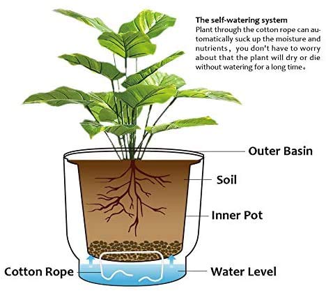 Maceta con planta dibujada y explicación de sus diversas partes