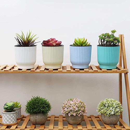 Macetas con bonitas plantas y de diversos colores en las estanterías de madera del patio