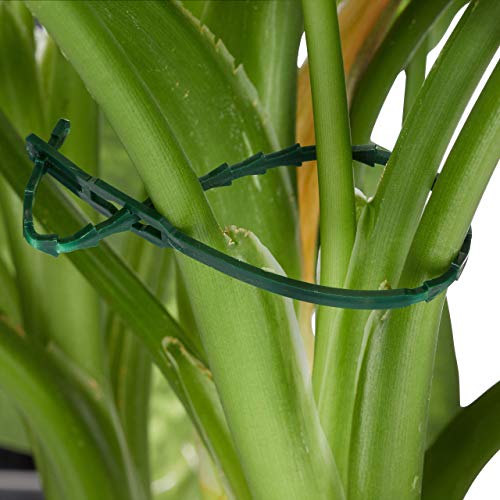 Verde Set de Soportes para Plantas, 110 Piezas, Clips, Alambre con cúter, Tutor para Rosas, Adultos Unisex, 2,00 x 8,00 x 12,30cm. Relaxdays