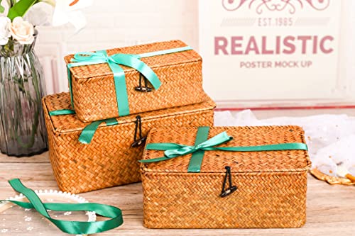 Set de producto del Conjunto de 3 Cestas con Tapa para Almacenamiento hecho de fibras marinas Rectangular Tejida de Ratán Natural Para Dormitorio Sala de Estar Oficina. YSGLIFE