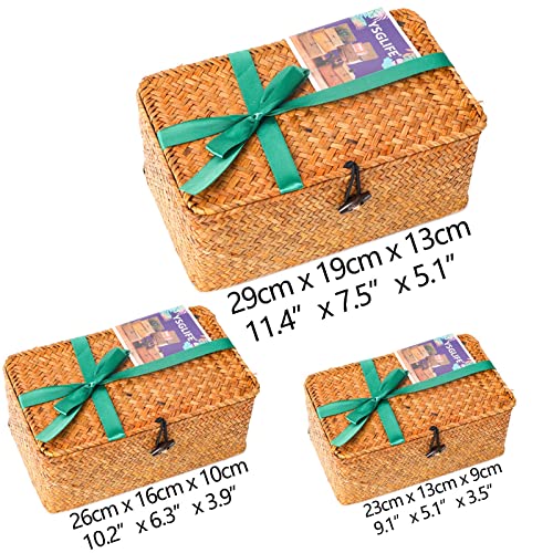 Tamaños del Conjunto de 3 Cestas con Tapa para Almacenamiento hecho de fibras marinas Rectangular Tejida de Ratán Natural Para Dormitorio Sala de Estar Oficina. YSGLIFE